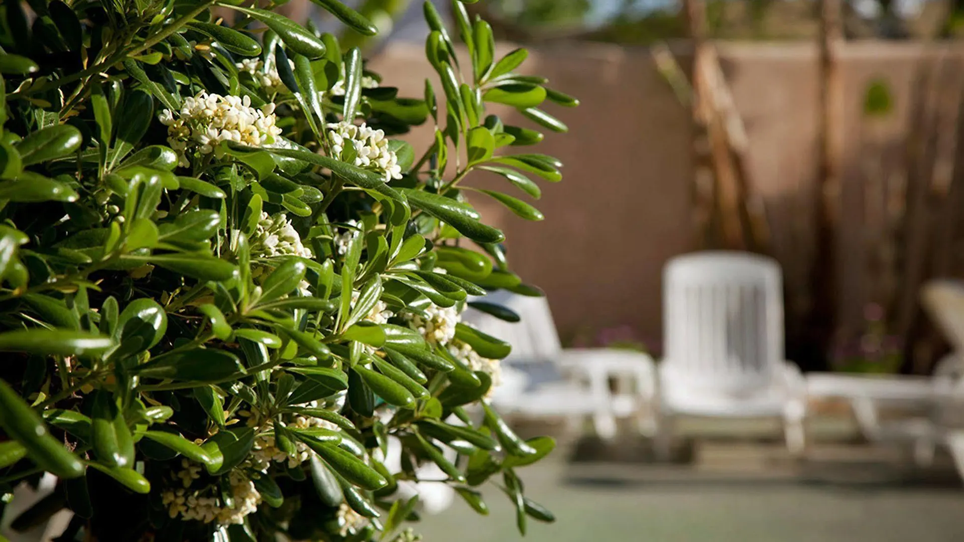 Hotel Vibra Marco Polo II - Adults Only Sant Antoni de Portmany